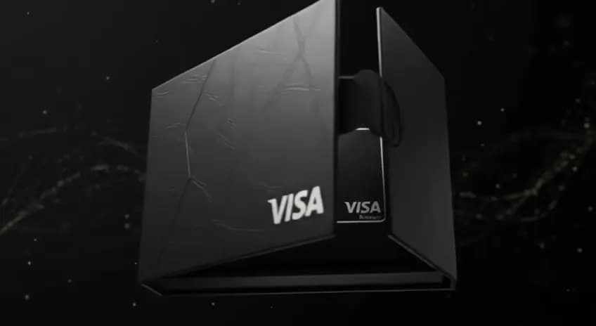 Side of the presentation box showing the VISA mark